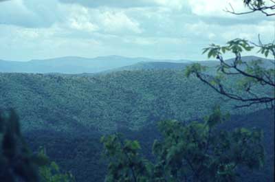 view from Hawk Mountain