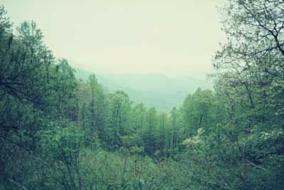 View from Woody Gap