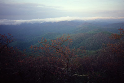 Early morning from Blood Mountain