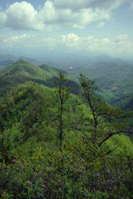 Nantahalas from Wesser Bald