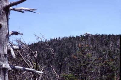 Clingman's Dome