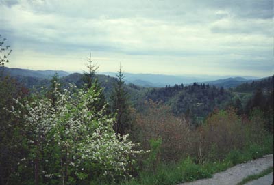 Newfound gap