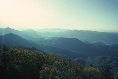 Near Camp Creek Bald