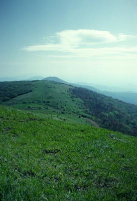 Looking toward Little Bald