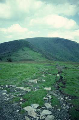 Jane Bald from Grassy ridge