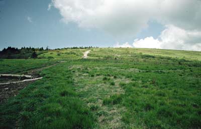 Round Bald from Carver's Gap