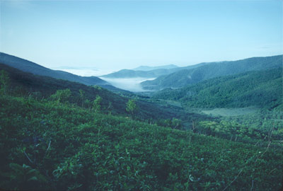 Balds of North Carolina