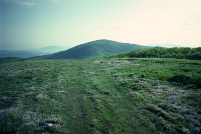 Hump Mountain from Little Hump Mtn