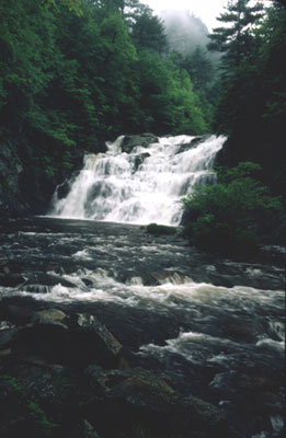 Laurel Falls